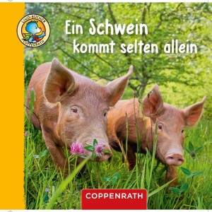 Schwein Cover